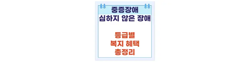 문구(중증장애 심하지않은 장애 등급별 복지 혜택 총정리)-썸네일