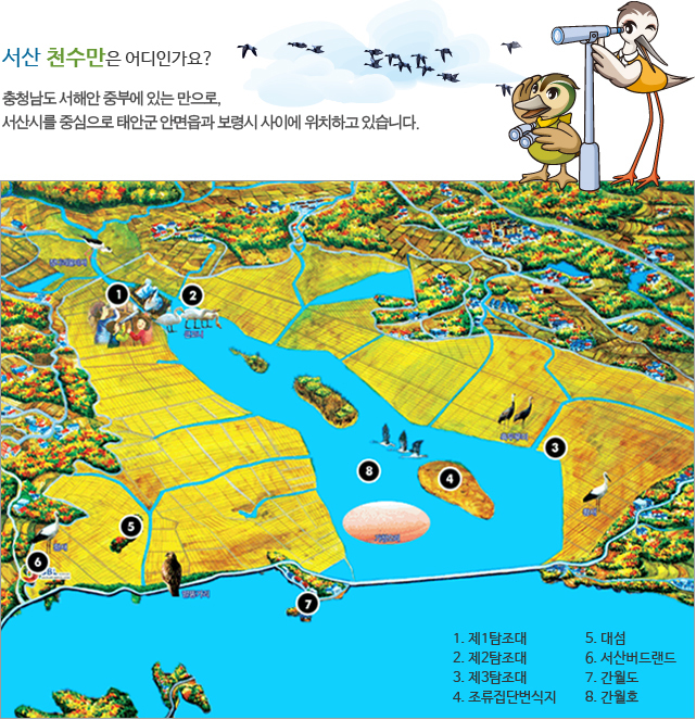 서산버드랜드 : 자연 속 철새와 함께하는 생태 여행