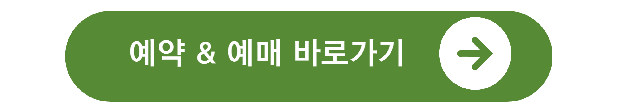 제주도 축제 일정
