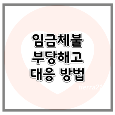 임금 체불 및 부당해고 대응 방법 최신 정보