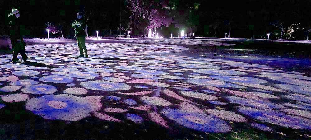 서귀포칠십리공원 달과 별
