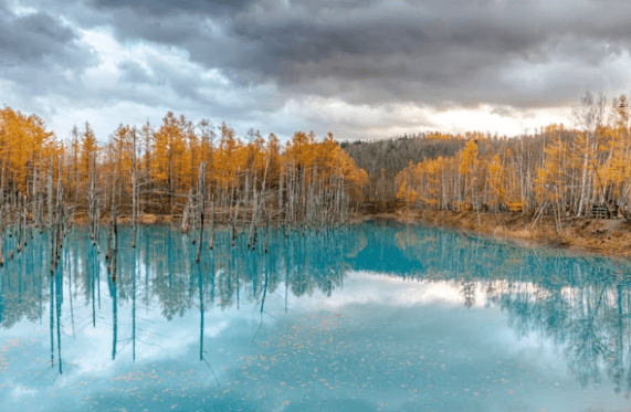 일본 소도시 여행: 나만의 일본을 위한 완벽 가이드