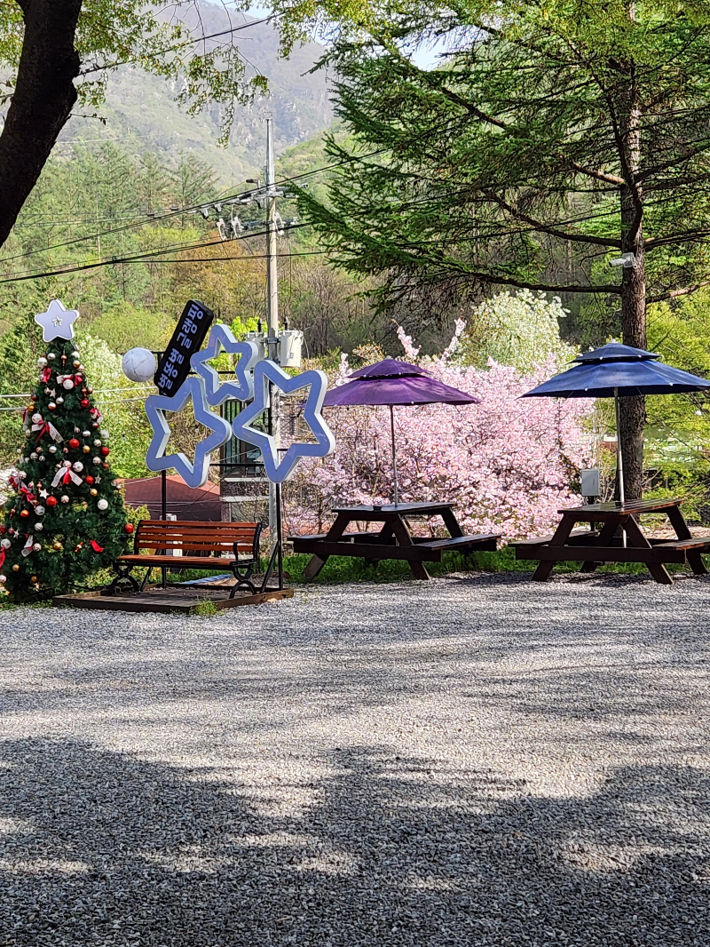 가평 별똥별 글램핑&카라반