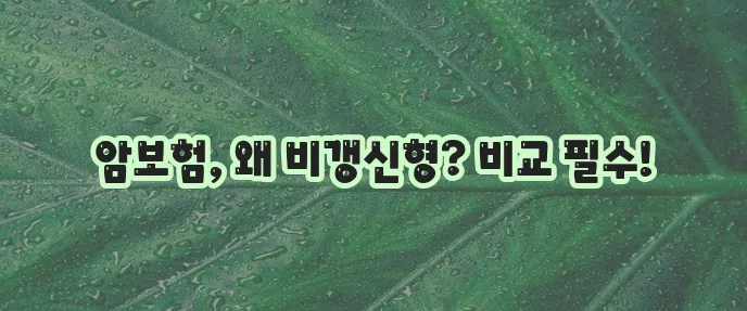 암보험 비교 사이트로 비갱신형 암보험 준비해야 합니다