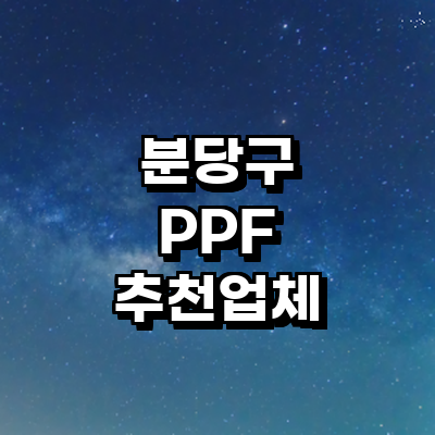 성남 분당구 ppf