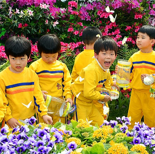 2025 함평나비축제