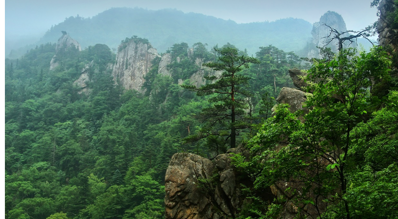 강원도 설악산 이미지