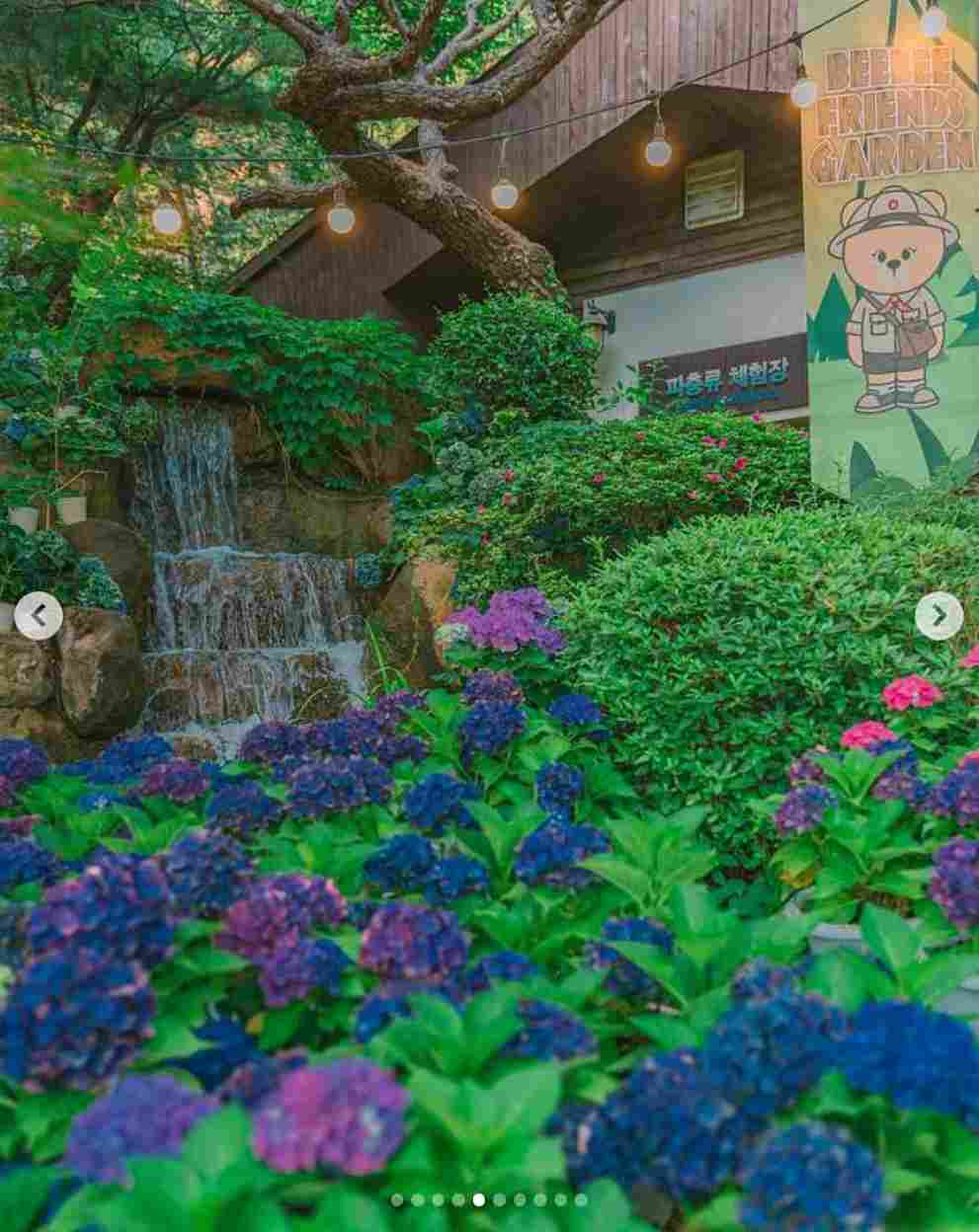 이월드 수국 포레스트 가든
