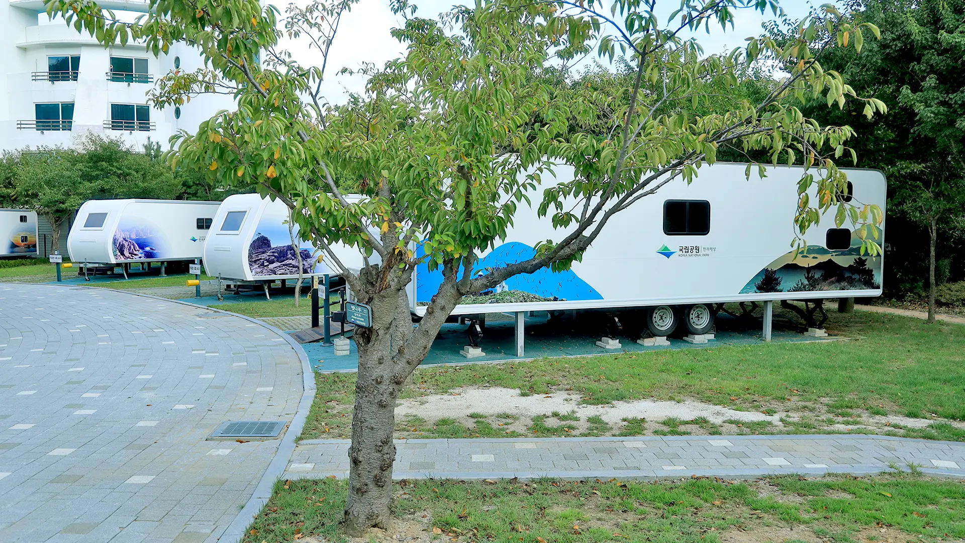 우수 공공야영장 20곳 소개 가족 반려동물 교통약자 친환경 자동차 캠핑장 문체부 한국관광공사 선정