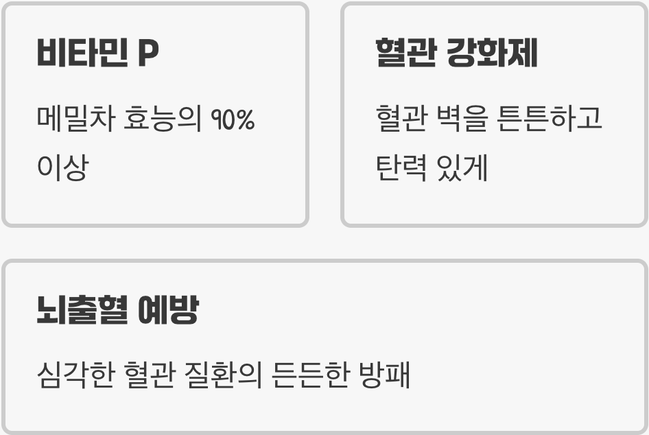 메밀의 핵심, '루틴'의 힘