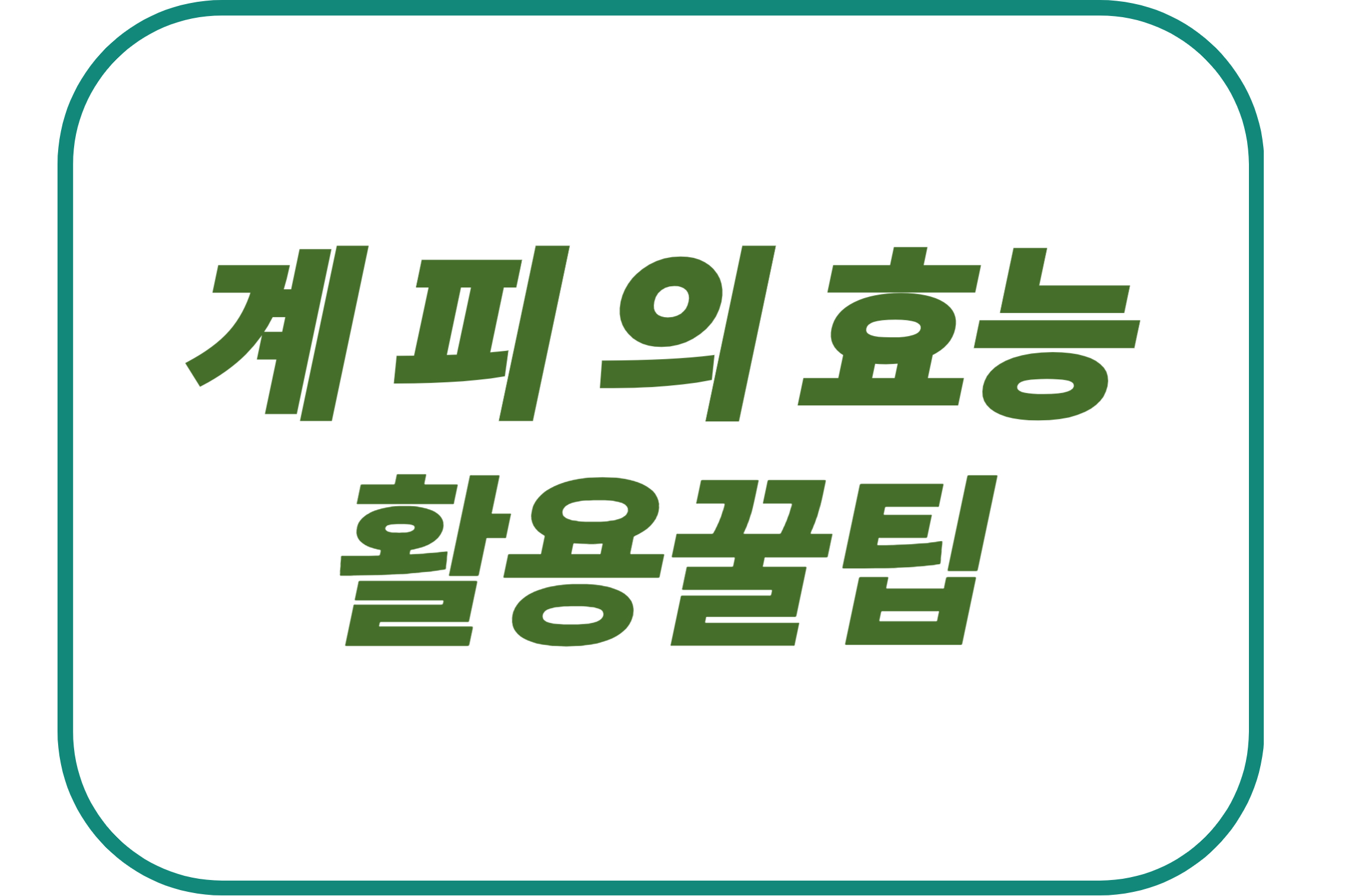 계피의 효능 활용꿀팁에 관한 표어 이미지
