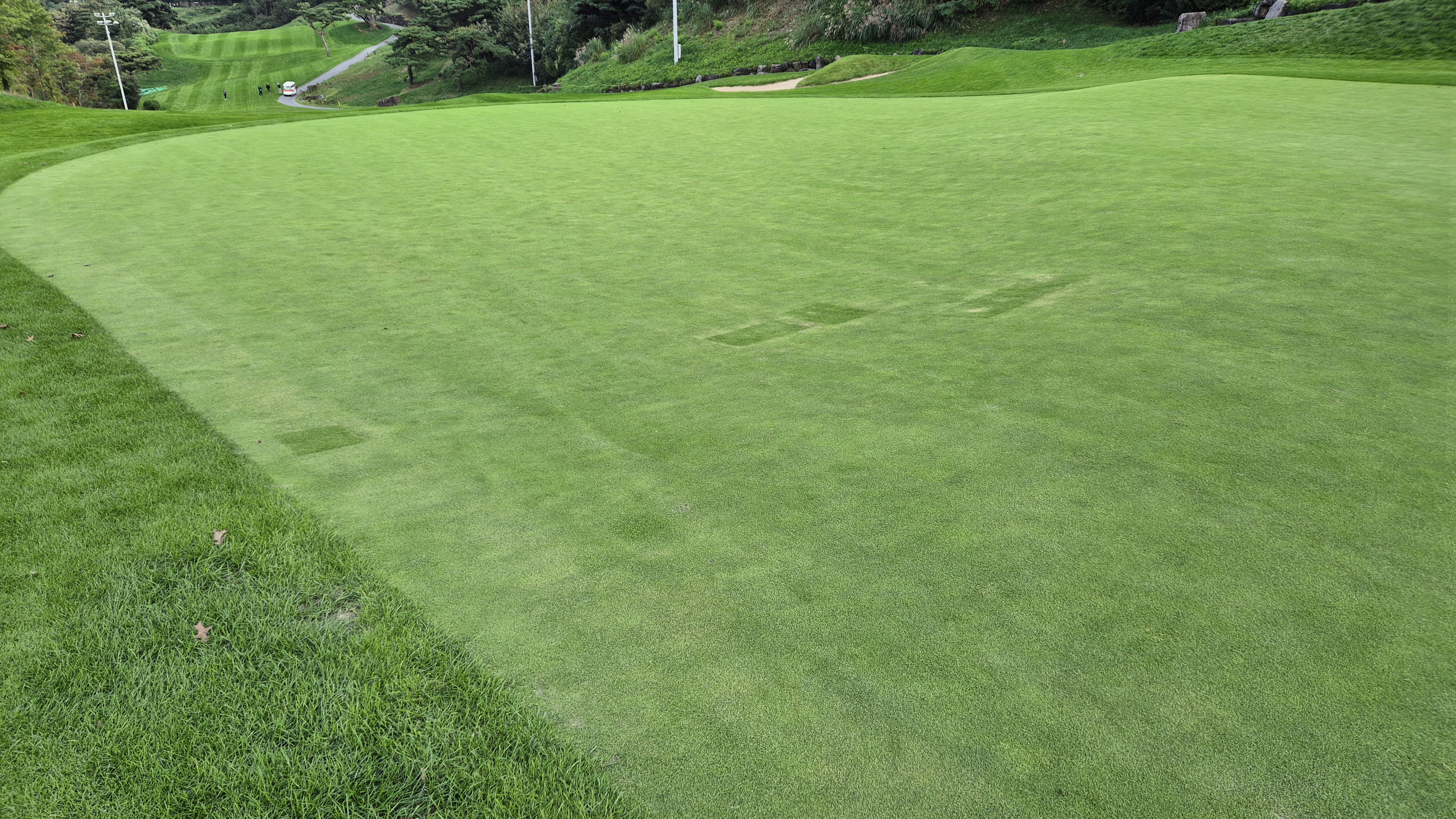 블랙스톤 벨포레cc 그린 관리 상태