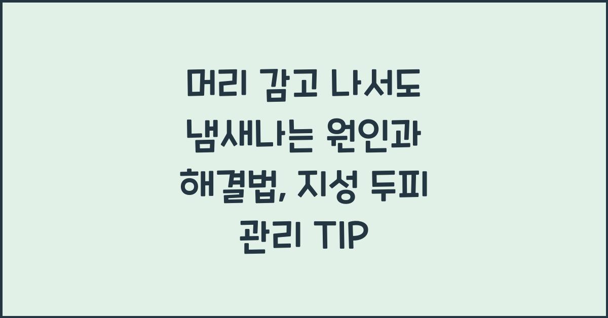 머리 감고 나서도 냄새나는 원인과 해결법