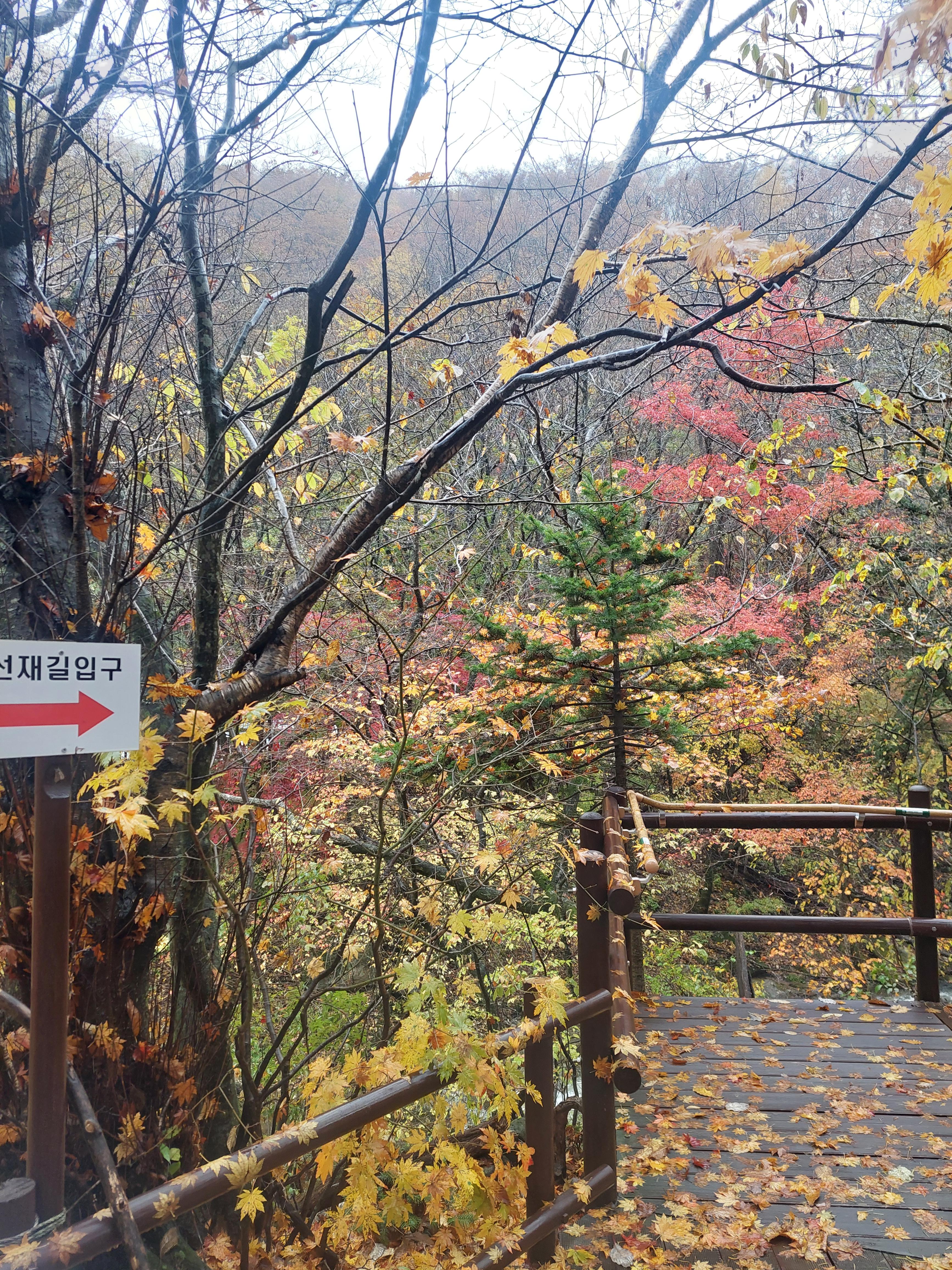 선재길