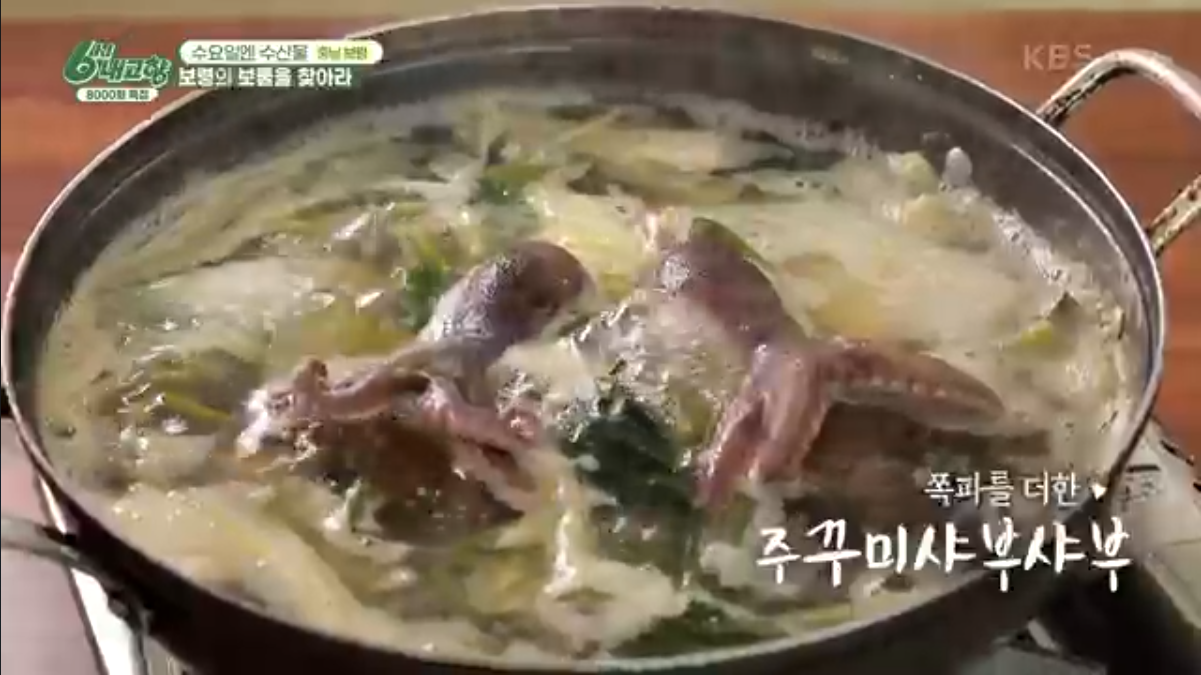 6시 내고향 충남 보령 쭈꾸미