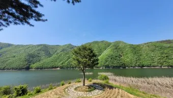 옥천 가볼만한곳 베스트10 현지인 추천 필수코스_5