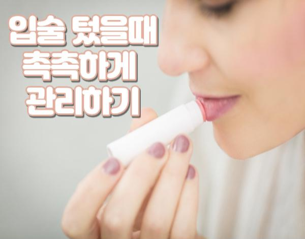 입술텄을때