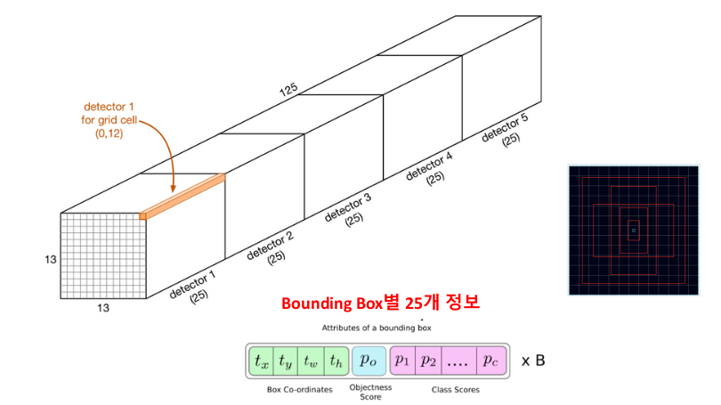 Anchor Box 별로 Class 확률 예측