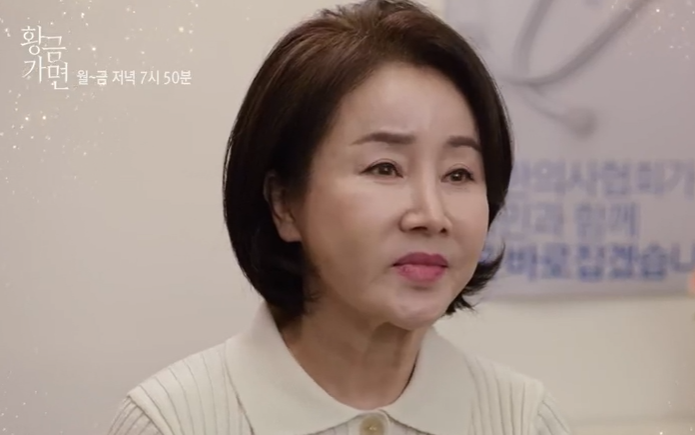 김혜경 / 선우은숙