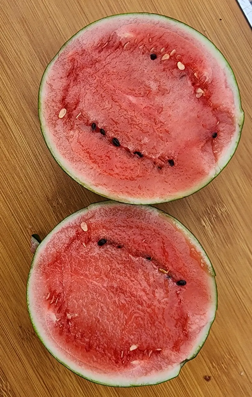 수박-반-자름