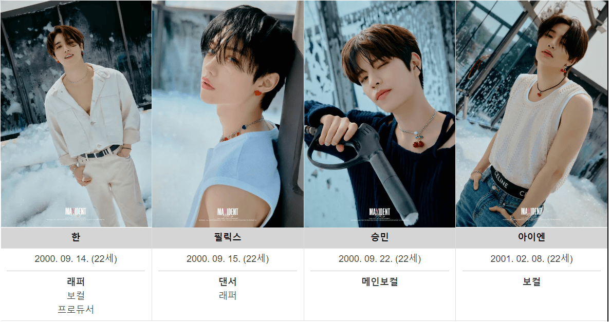 Stray Kids