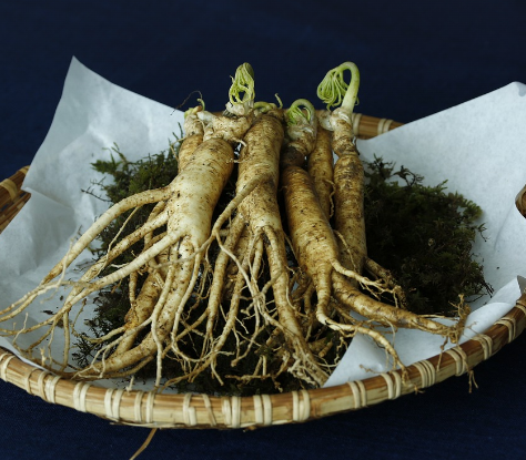 수삼&amp;#44;홍삼