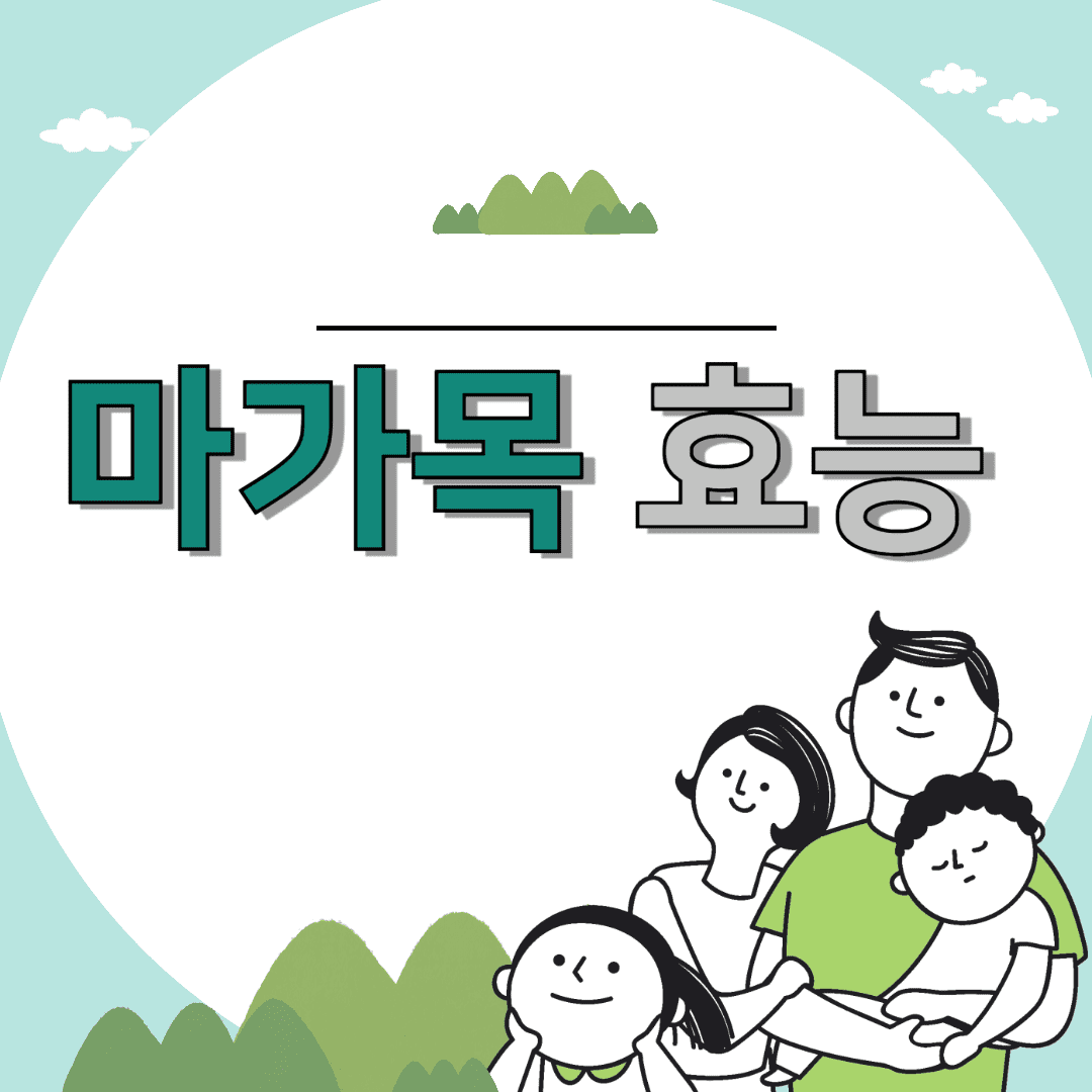 마가목 효능