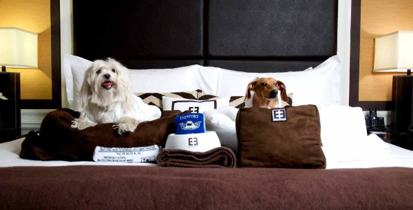 Pet-Friendly Hotel in New York City ❘ The Empire Hotel (사진 출처: The Empire Hotel)
