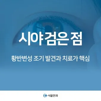 시야에 검은점 시야에 까만점이 보일때 원인과 대처법_15