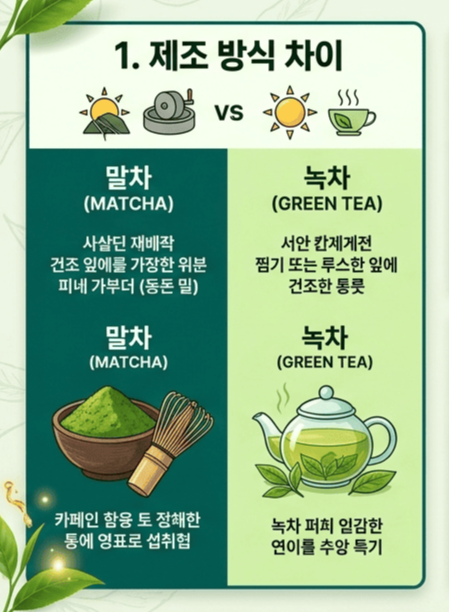 말차 녹차 차이