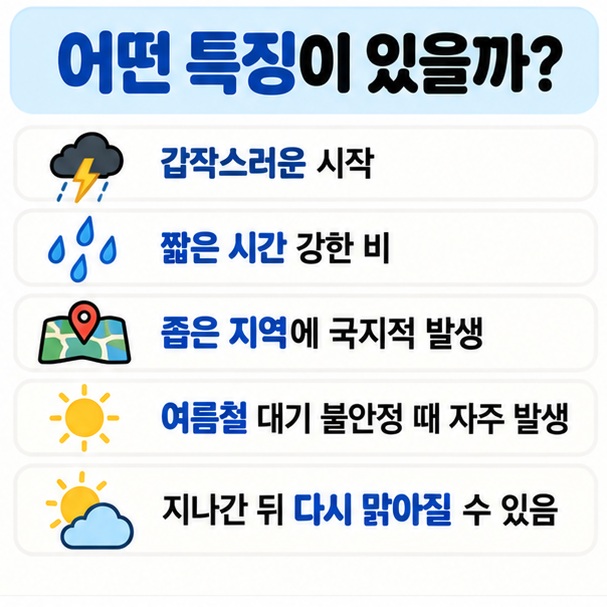 소나기의 갑작스러운 시작 강한 빗줄기 짧은 지속시간 좁은 지역이라는 특징을 정리한 이미지