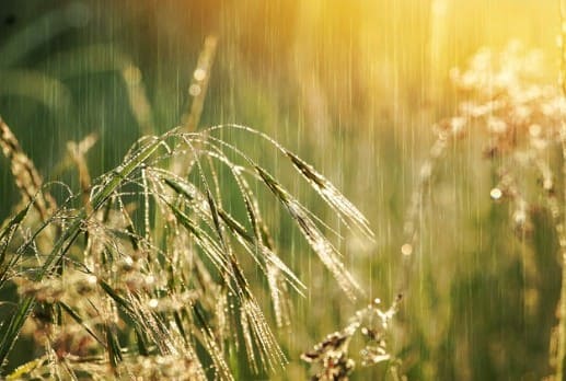 수도권 장마기간