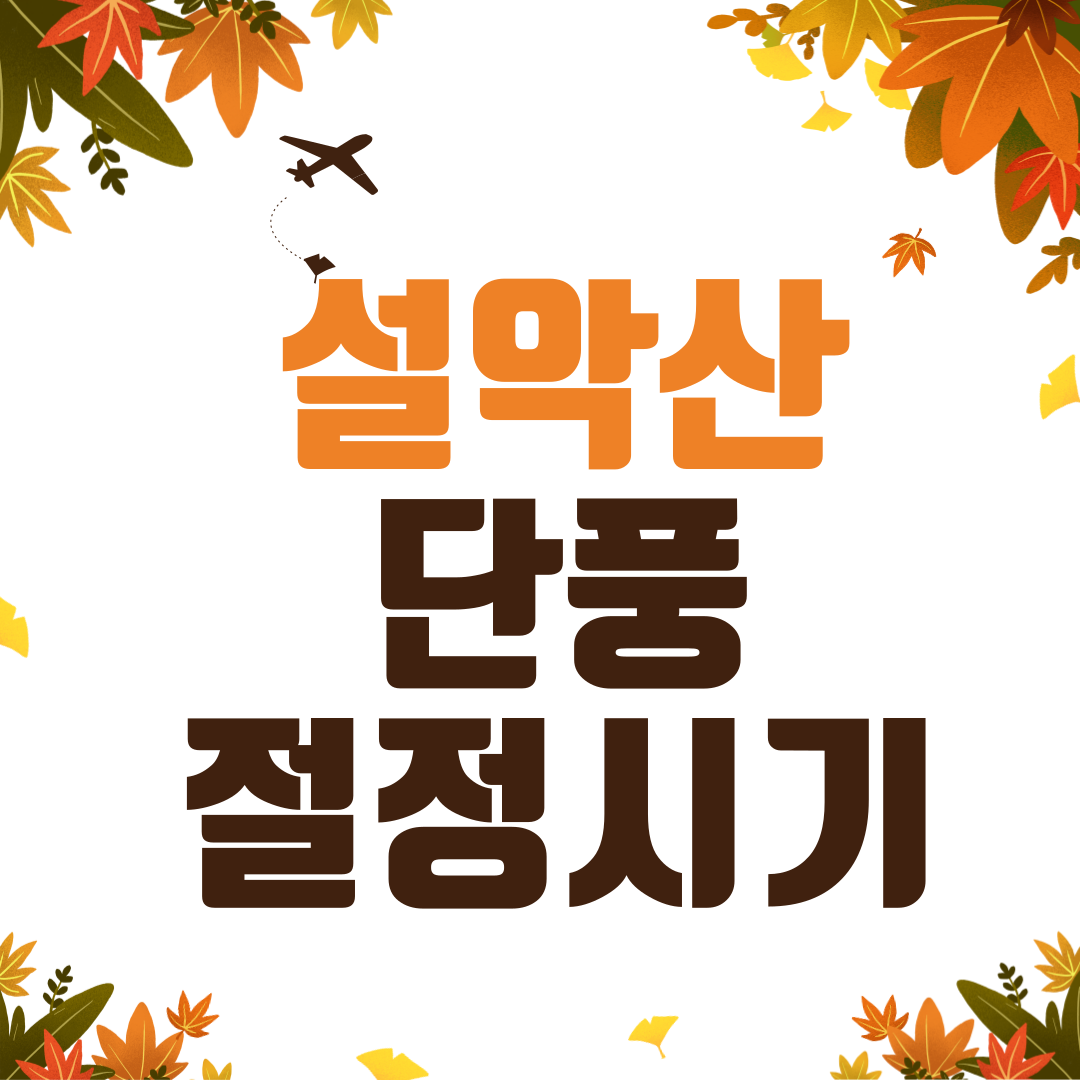 2024 설악산 단풍 절정 시기