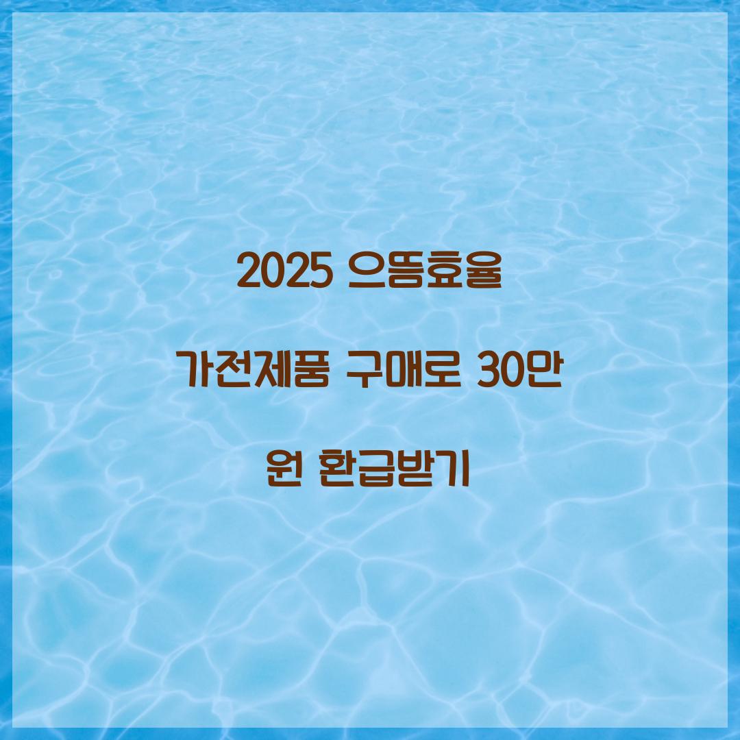 2025 으뜸효율 가전제품