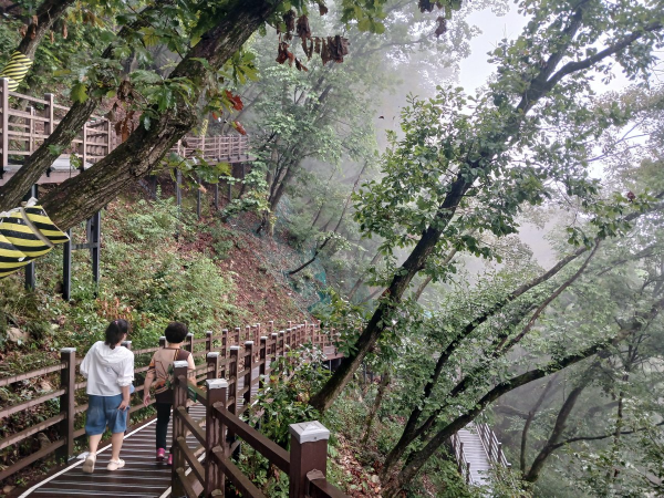 삼악산 데크길 내려가다
