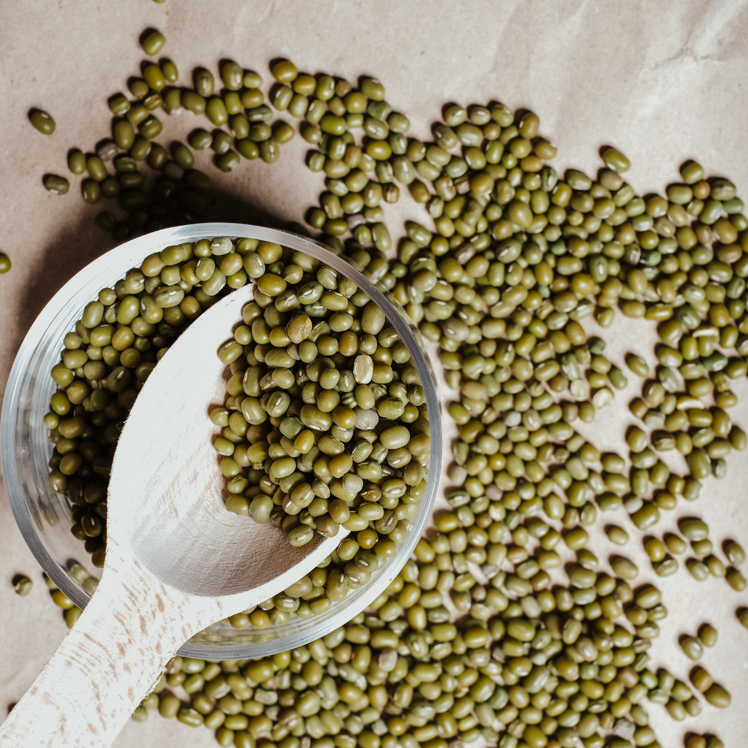 녹두 효능과 부작용, 녹두전 녹두죽 만드는 방법 레시피 공유