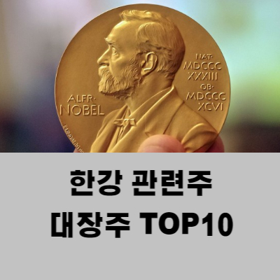한강 관련주 대장주 테마주 수혜주 TOP10 : 노벨문학상