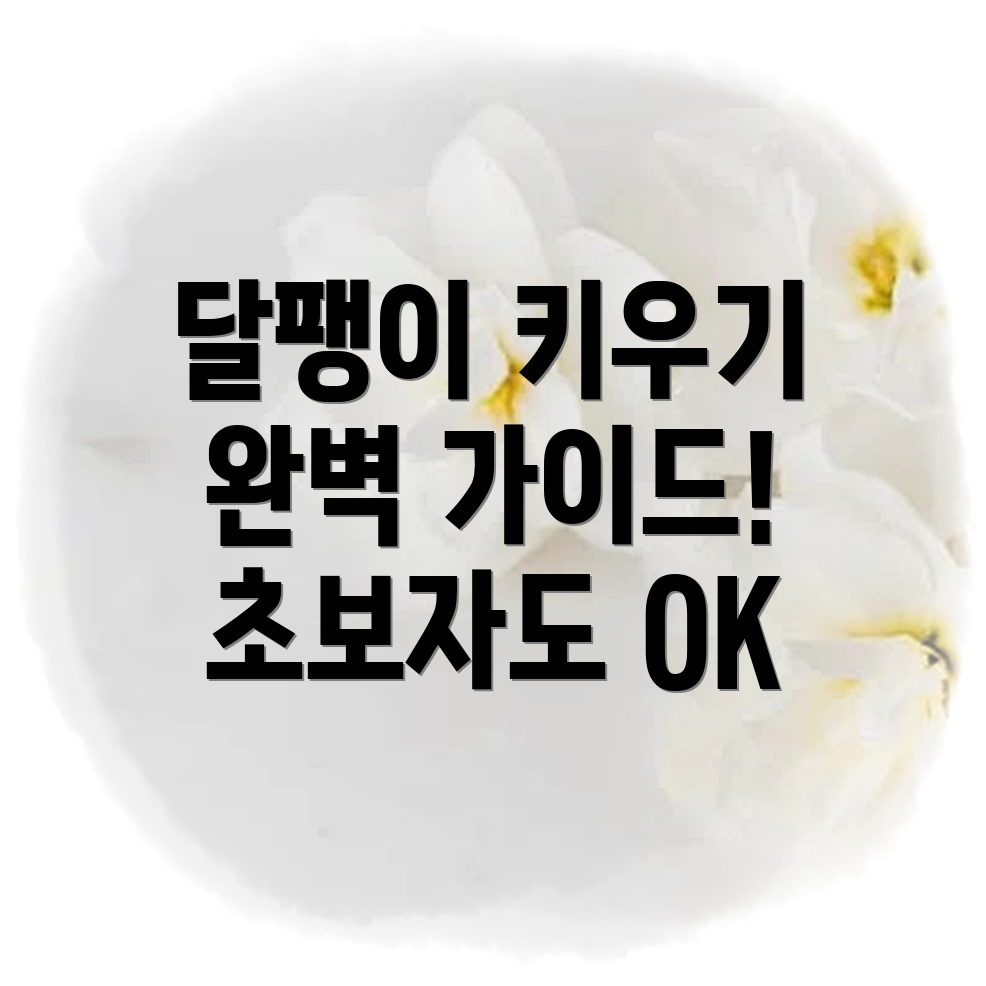 달팽이 키우기