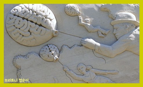 신경전달물질의 종류와 기능 사진