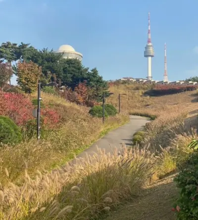 남산서울타워 전망대