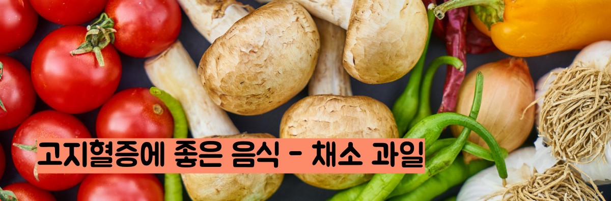 고지혈증에 좋은 음식