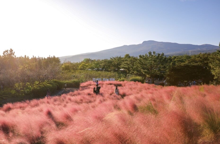 전국 가을축제 일정