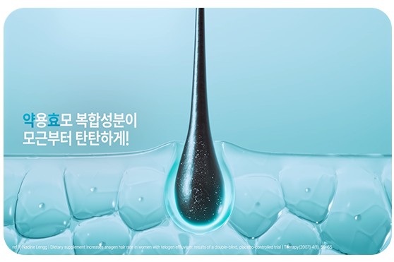 판시딜 가격 효과