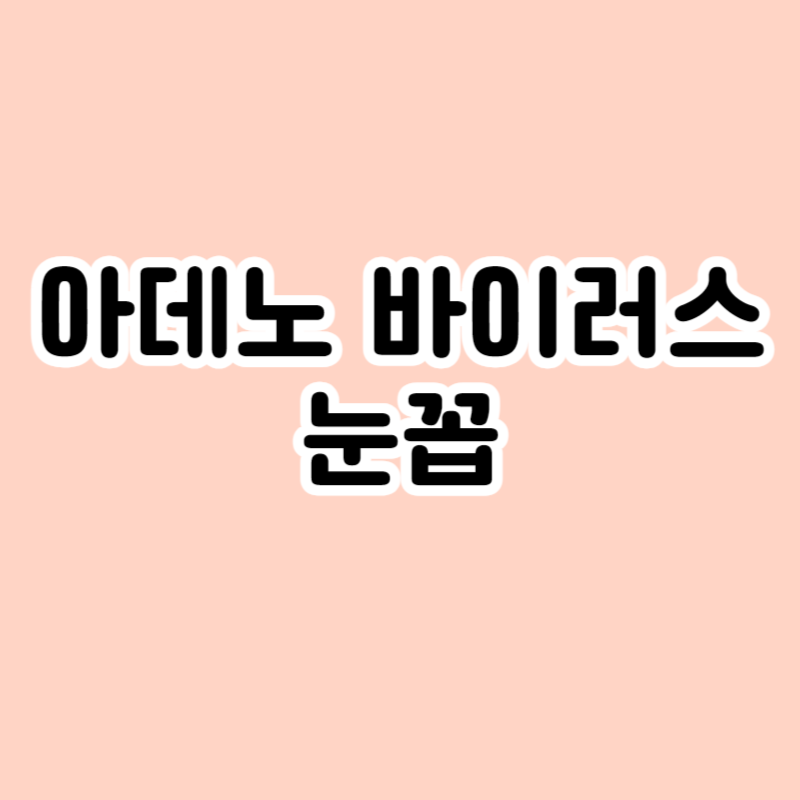 아데노 바이러스 눈꼽