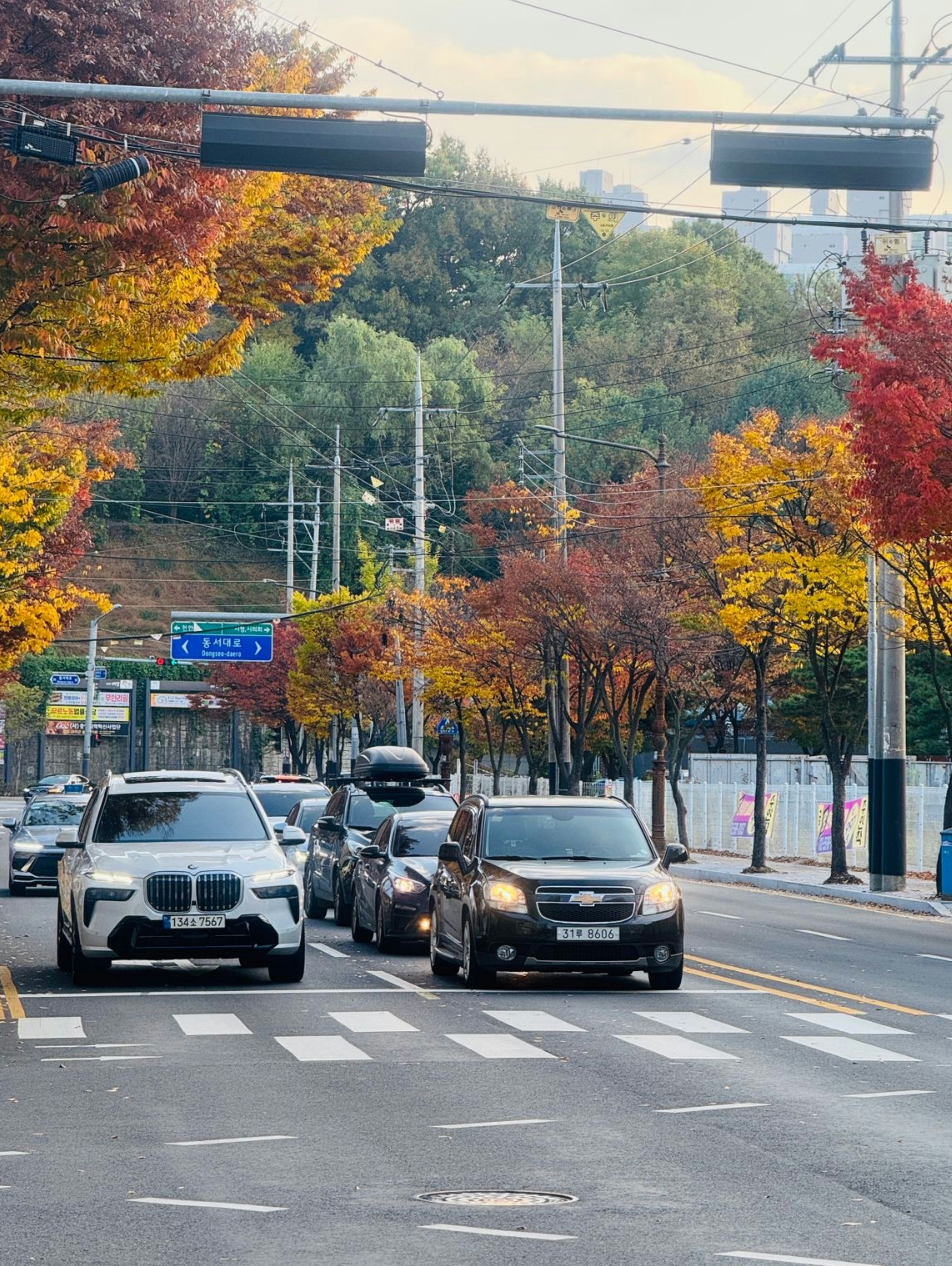 대전 엑스포과학공원 주차장 안내|요금·혼잡 시간 정리