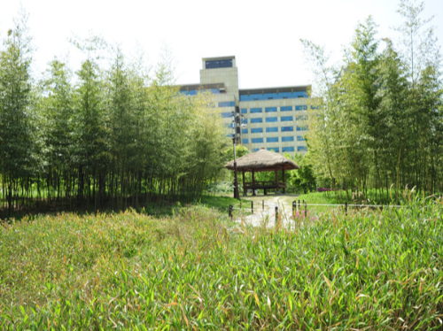 대전 아이랑 갈만한곳 한밭 수목원 나들이 장소 추천