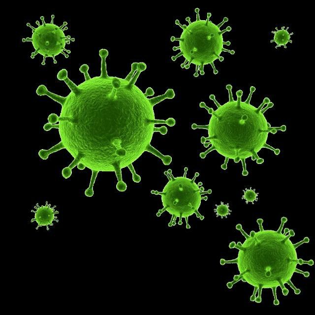 바이러스 사진