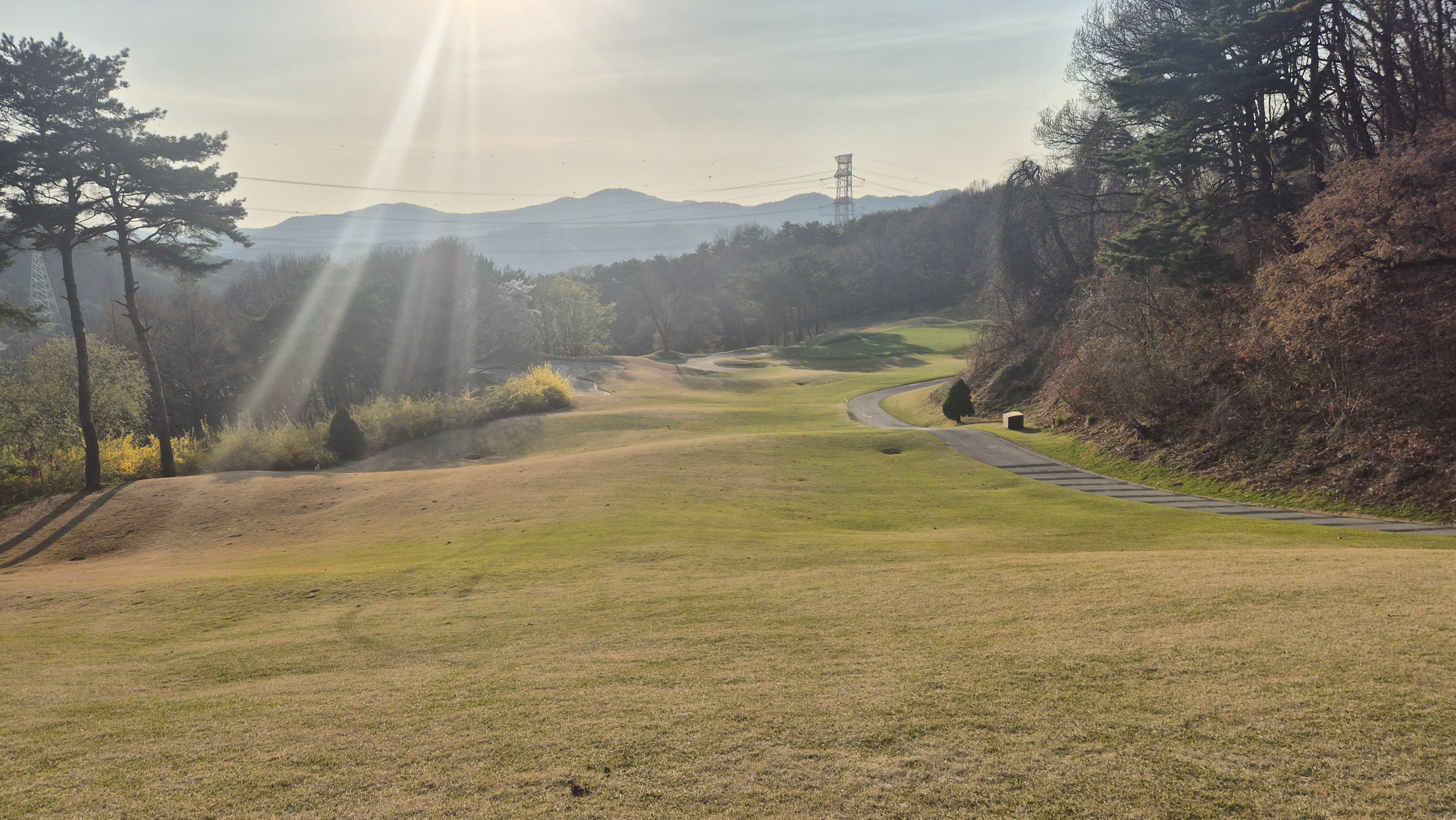 안성베네스트gc 동-남 코스 사진 및 공략 정보