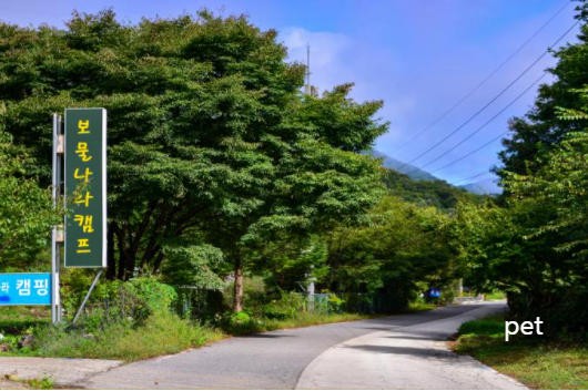 경기-연천-보물나라캠프-예약-방법-애견-동반-가격-주소-시간-후기