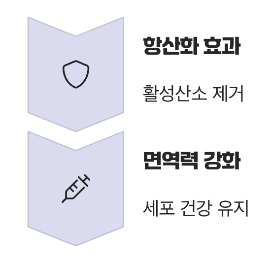 '익혀서' 먹을 때: 노화 방지와 면역력 강화